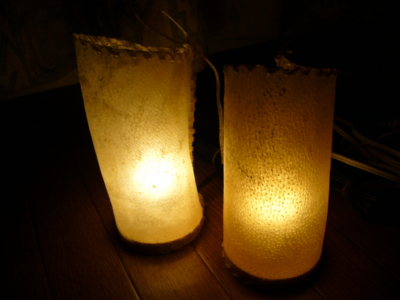 f:id:neimu:20091213220645j:image