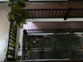 20120308184229