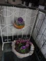 20120308184552