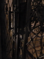 20120308200324