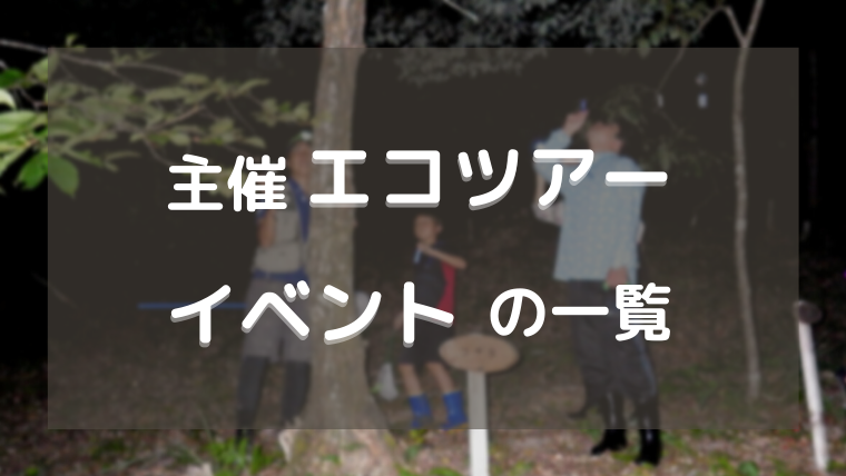 f:id:neitame:20210524023102p:plain