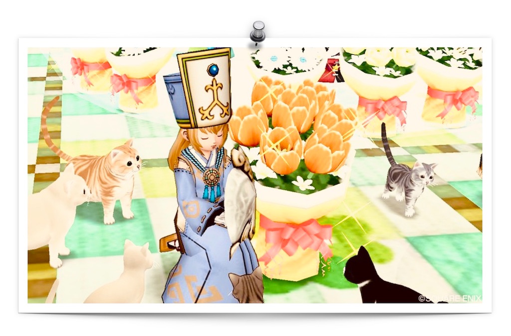 f:id:neithia:20190611072348j:image f:id:neithia:20190611072348j:image