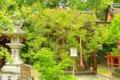 [風景][京都][寺社仏閣]
