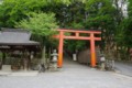 [風景][京都][寺社仏閣]