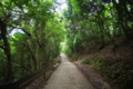 [風景][高尾山]