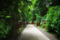 [風景][高尾山]