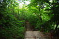 [風景][高尾山]