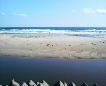 f:id:nejicco:20081129122347j:image