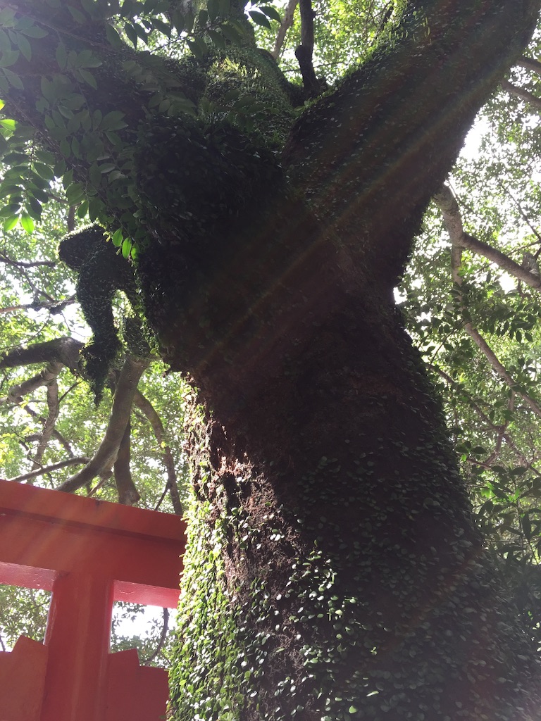 f:id:nejimakiya:20150914163008j:image f:id:nejimakiya:20150914163008j:image