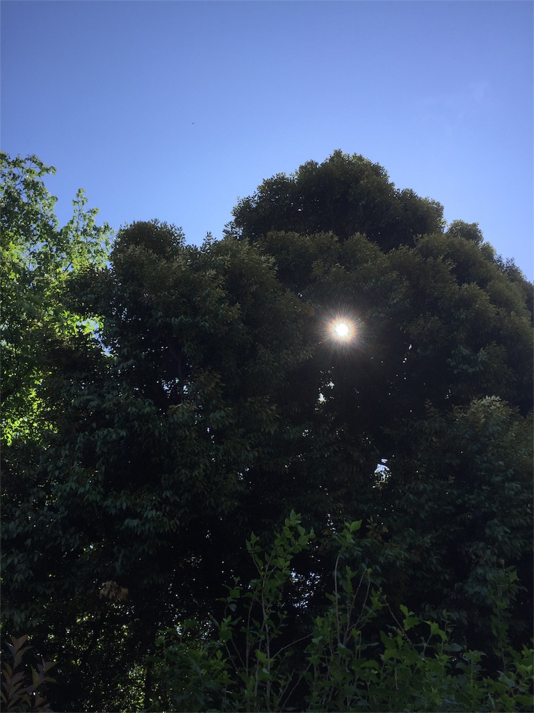 f:id:nejimakiya:20160521221558j:image f:id:nejimakiya:20160521221558j:image
