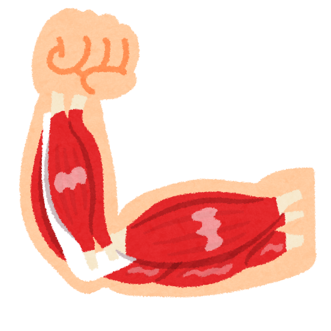 f:id:nekago899:20181118190649p:plain f:id:nekago899:20181118190649p:plain