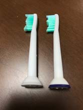 f:id:nekatsu:20171023042522j:plain