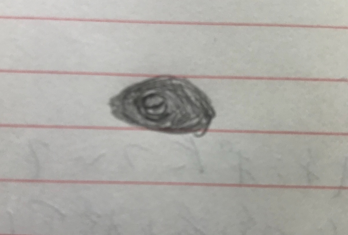 f:id:nekko_chichinomi:20200731224229j:plain