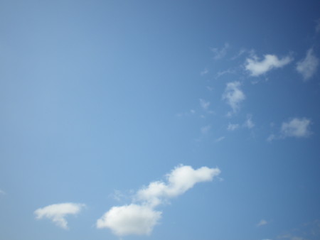 f:id:nekkobokko:20100610081418j:image