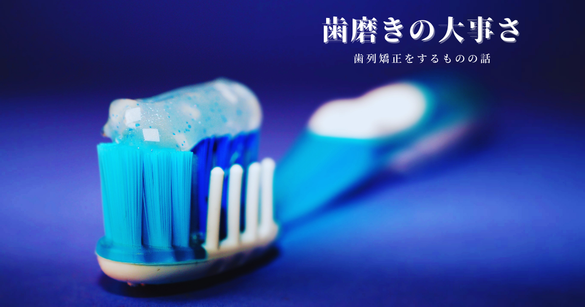 f:id:neko-bloger:20211201152906p:plain