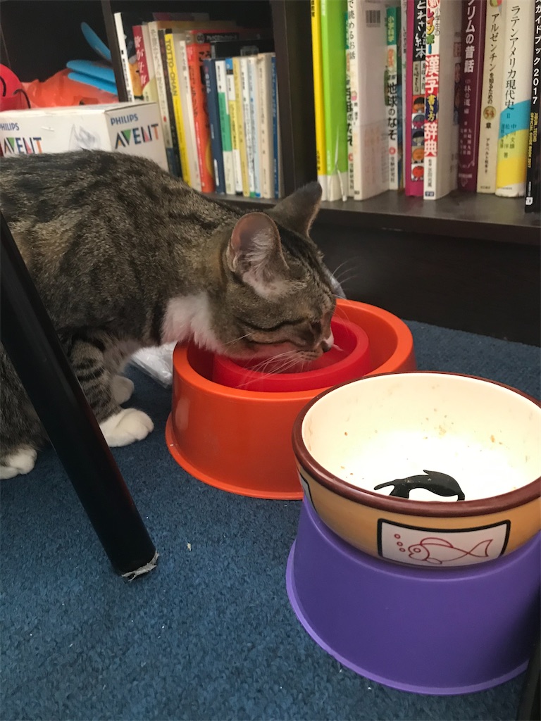 f:id:neko-bungu:20200406231038j:image f:id:neko-bungu:20200406231038j:image