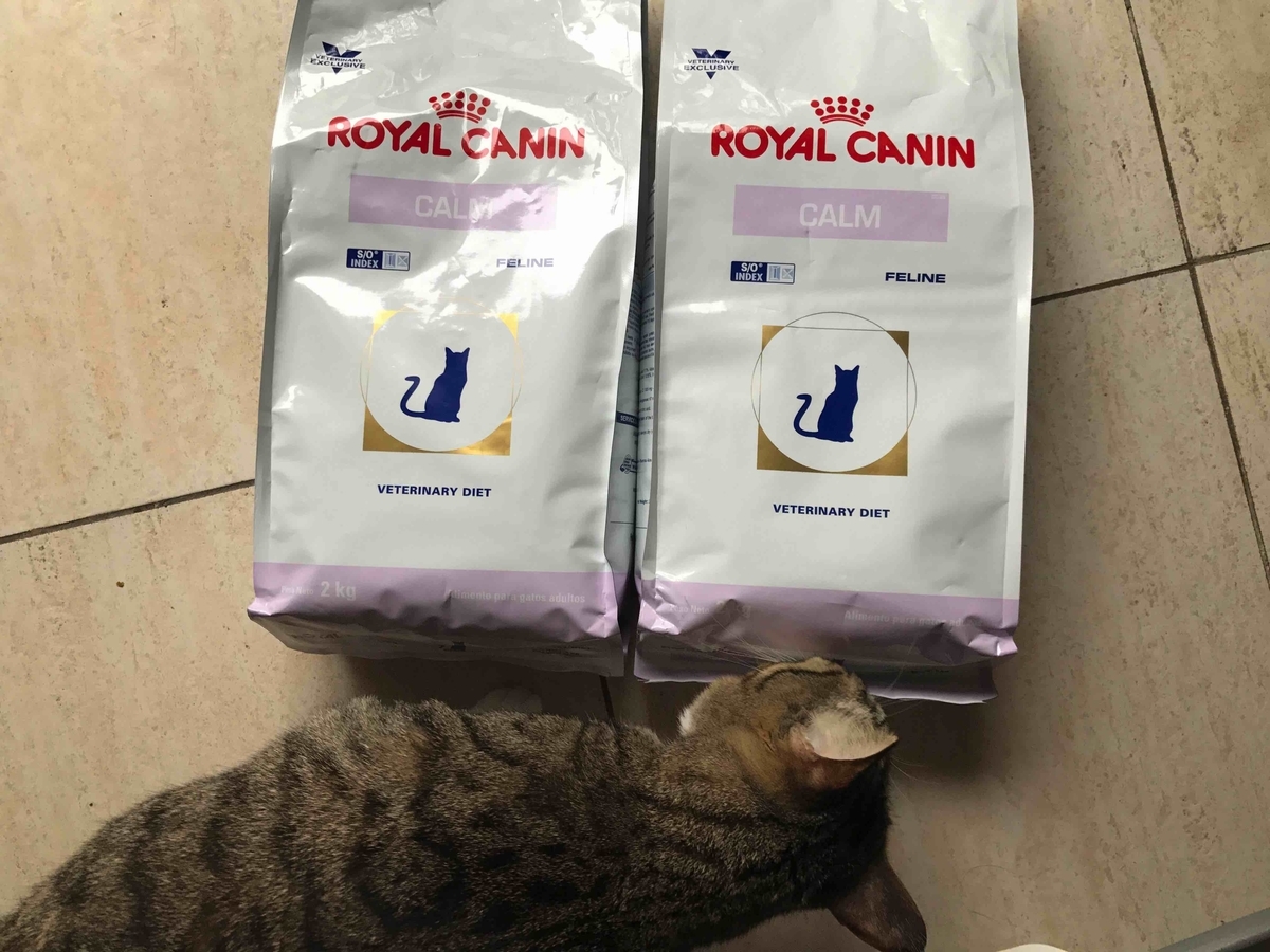 f:id:neko-bungu:20200511093120j:plain