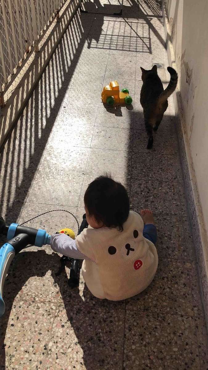 f:id:neko-bungu:20200608085148j:plain