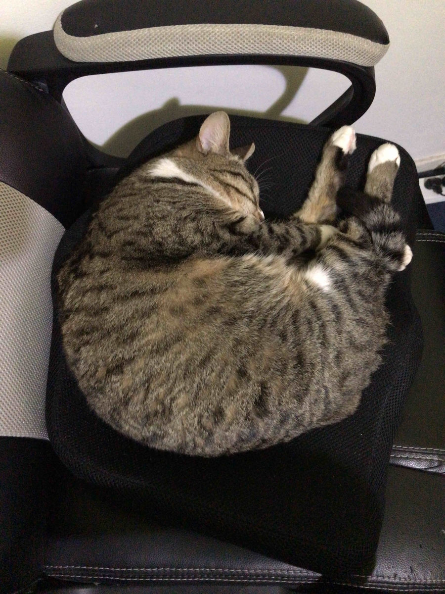 f:id:neko-bungu:20200718140220j:plain