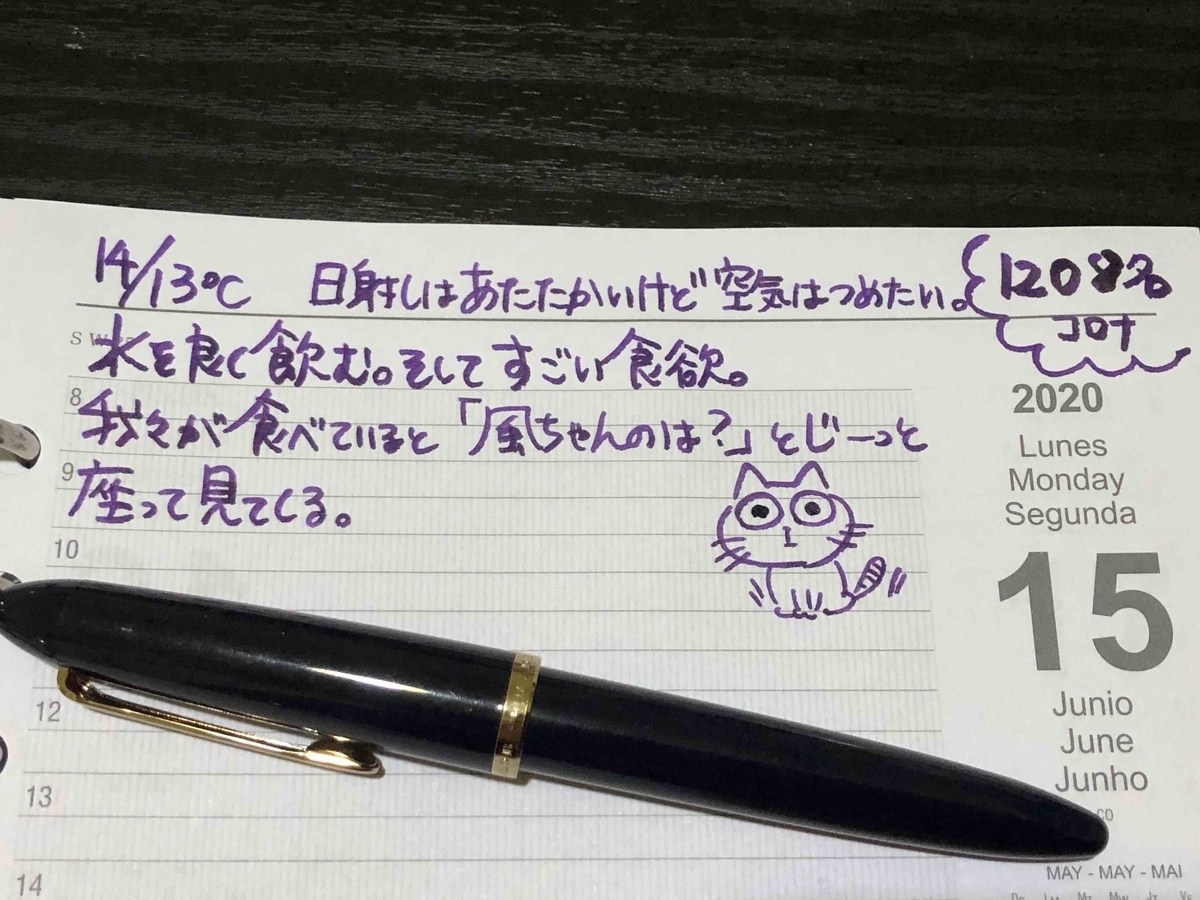 万年筆 インク 妻のねこ日記 年06月第3週 猫写真と猫イラスト いぶし銀の 文具とねこの日々