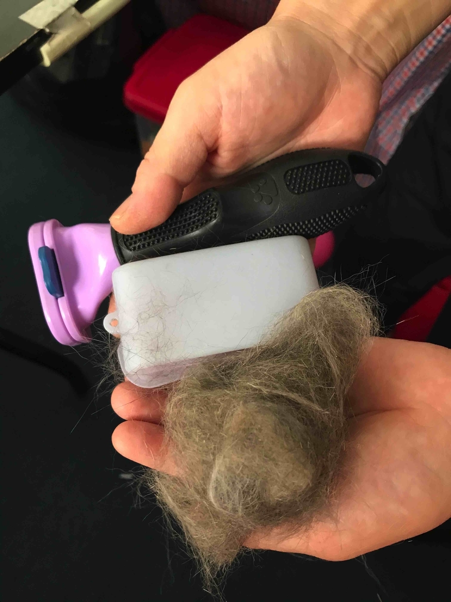 f:id:neko-bungu:20201102083525j:plain f:id:neko-bungu:20201102083525j:plain