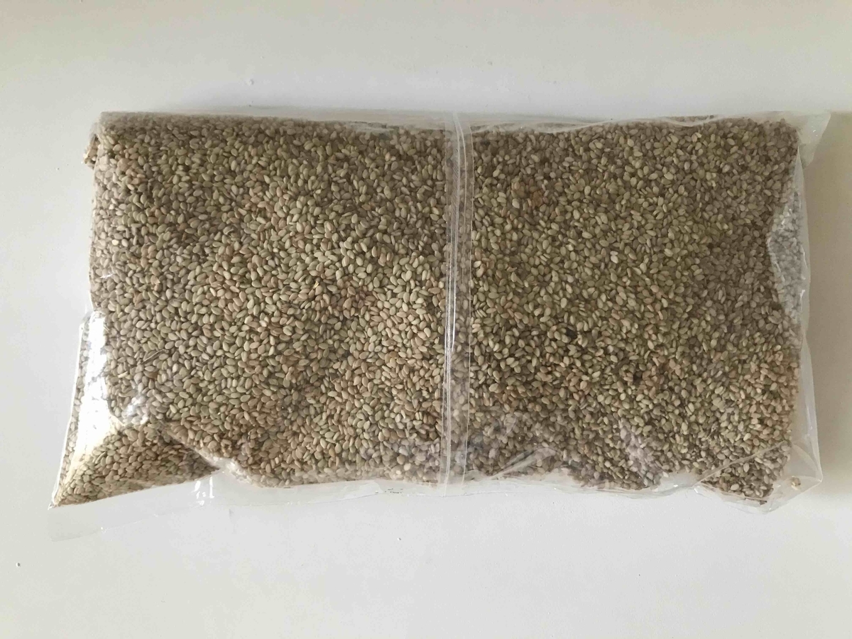 f:id:neko-bungu:20210201011928j:plain