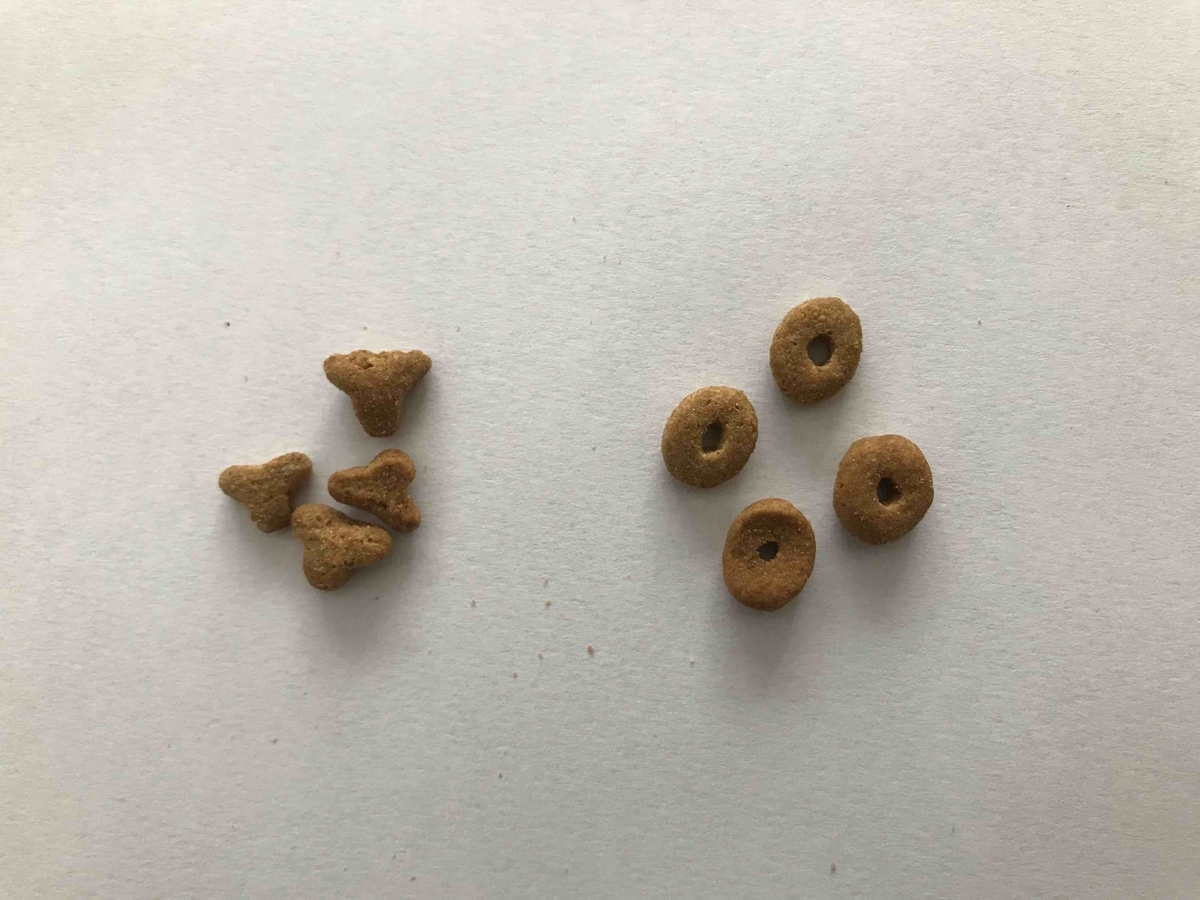 f:id:neko-bungu:20210201013643j:plain