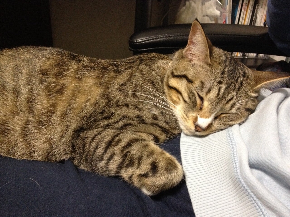 f:id:neko-bungu:20210201023556j:plain