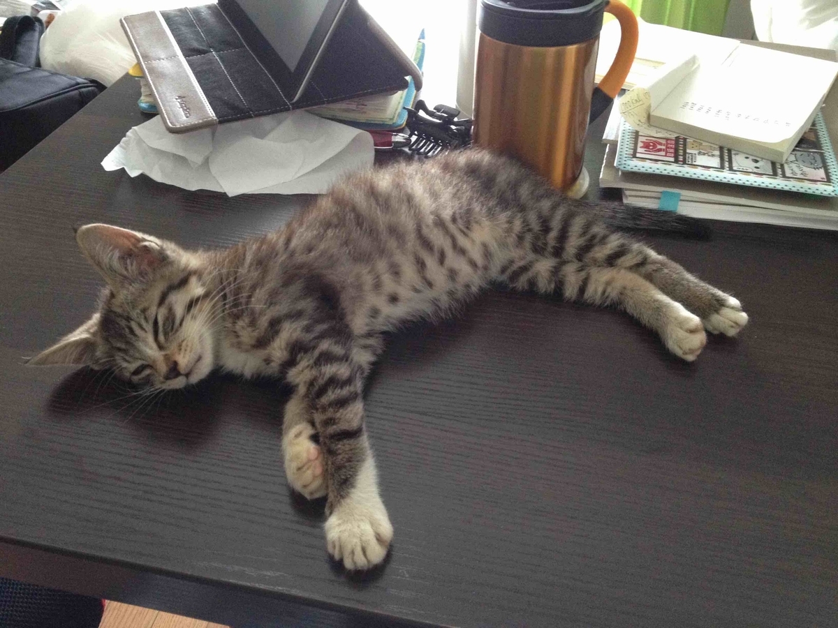 f:id:neko-bungu:20210401131200j:plain