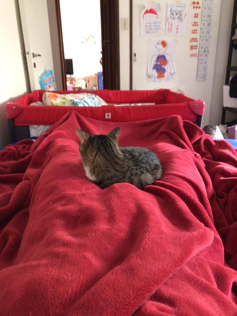 f:id:neko-bungu:20210401131527j:plain