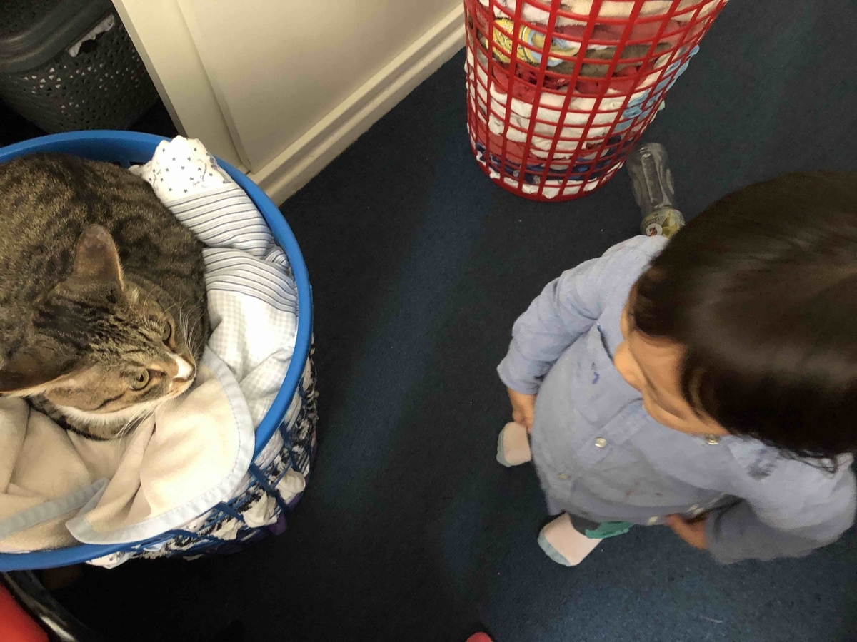 f:id:neko-bungu:20210401131716j:plain