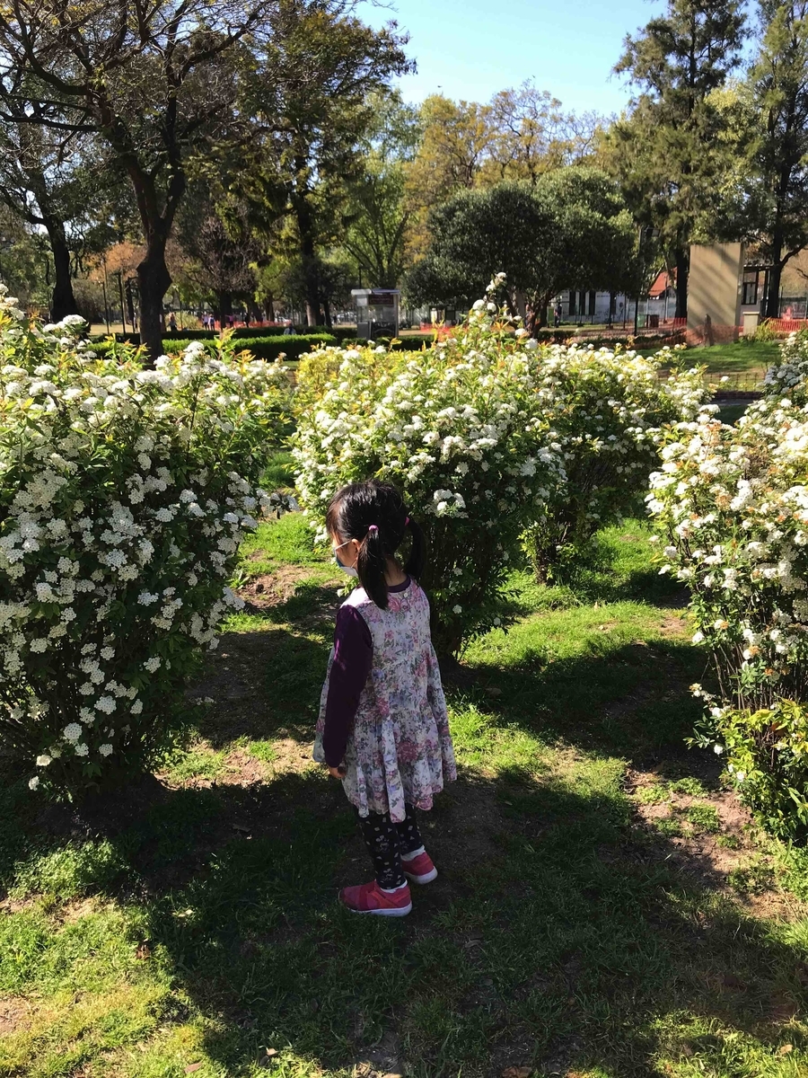 f:id:neko-bungu:20210927020458j:plain