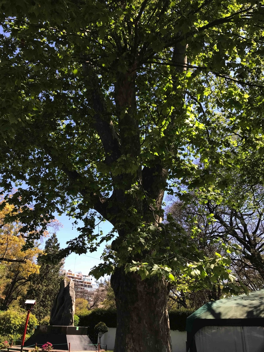 f:id:neko-bungu:20211009211615j:plain