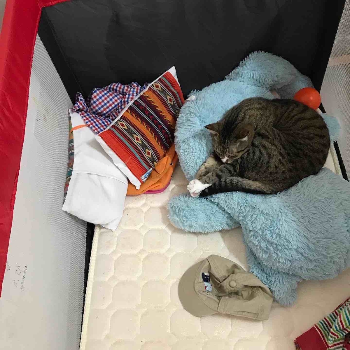 f:id:neko-bungu:20211018220836j:plain