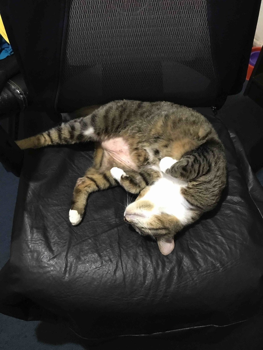 f:id:neko-bungu:20211026073622j:plain