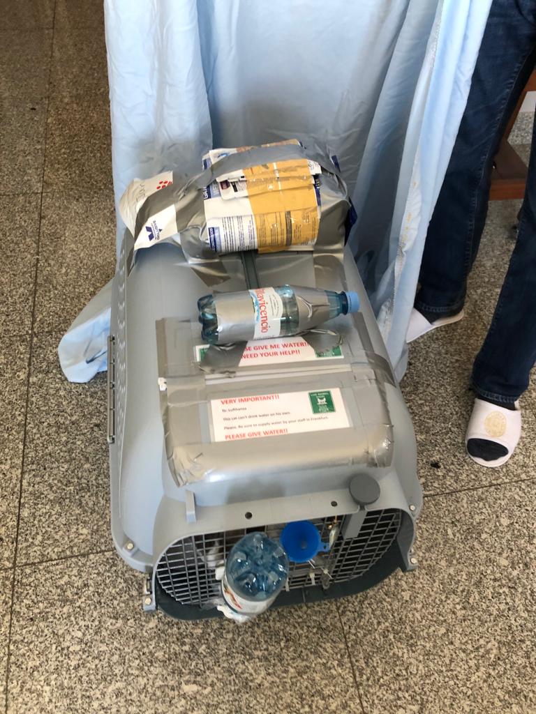 f:id:neko-bungu:20211103224034j:plain