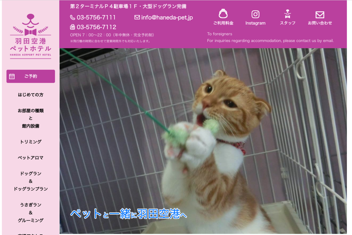 f:id:neko-bungu:20211225071134p:plain