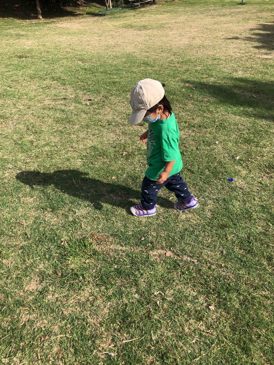 f:id:neko-bungu:20220318031844j:plain