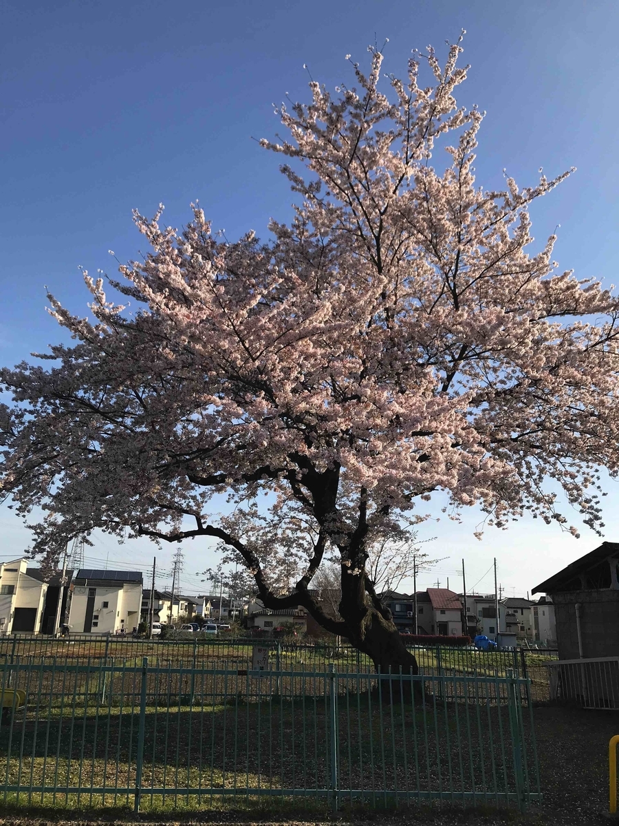 f:id:neko-bungu:20220407201954j:plain