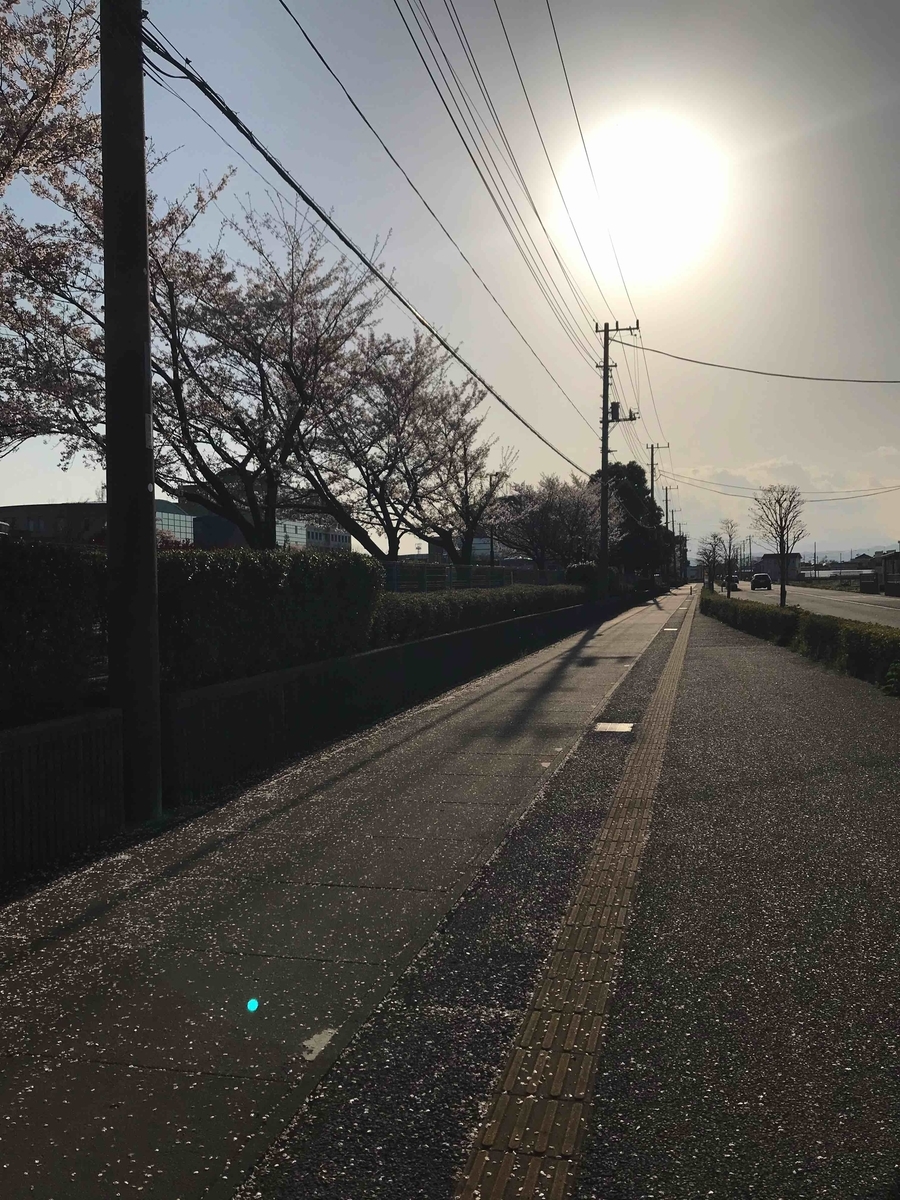 f:id:neko-bungu:20220407202013j:plain