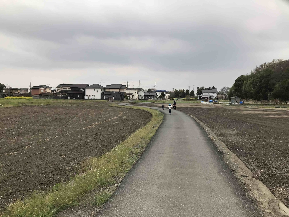 f:id:neko-bungu:20220407202021j:plain