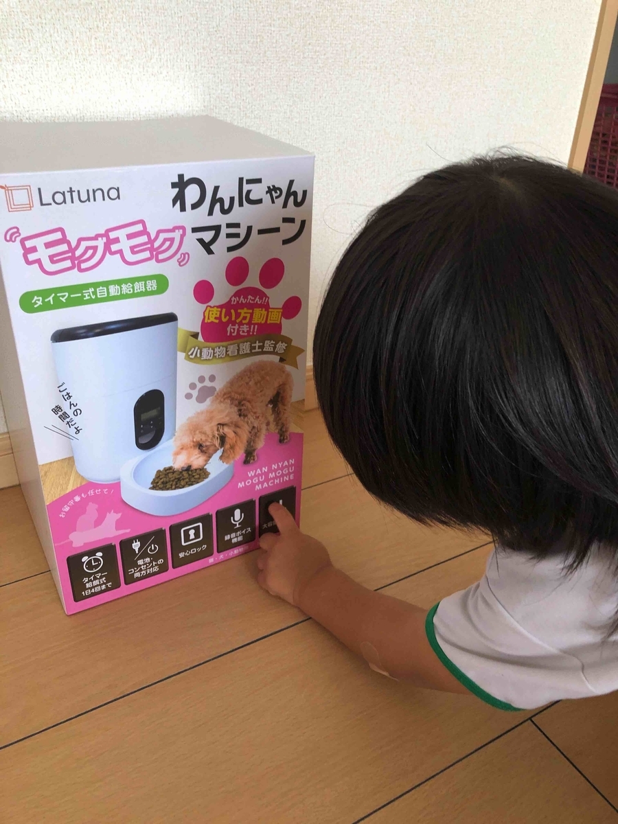 風ちゃんの自動給餌器を購入！ - いぶし銀の、文具とねこの日々。