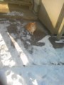 20120203084300