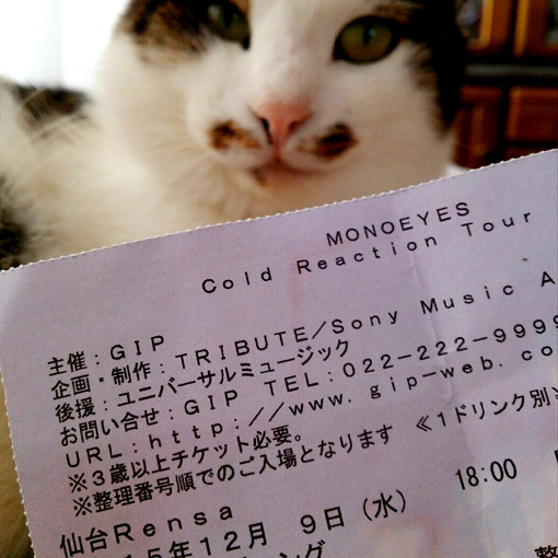 Monoeyesのライブ ねこにっき