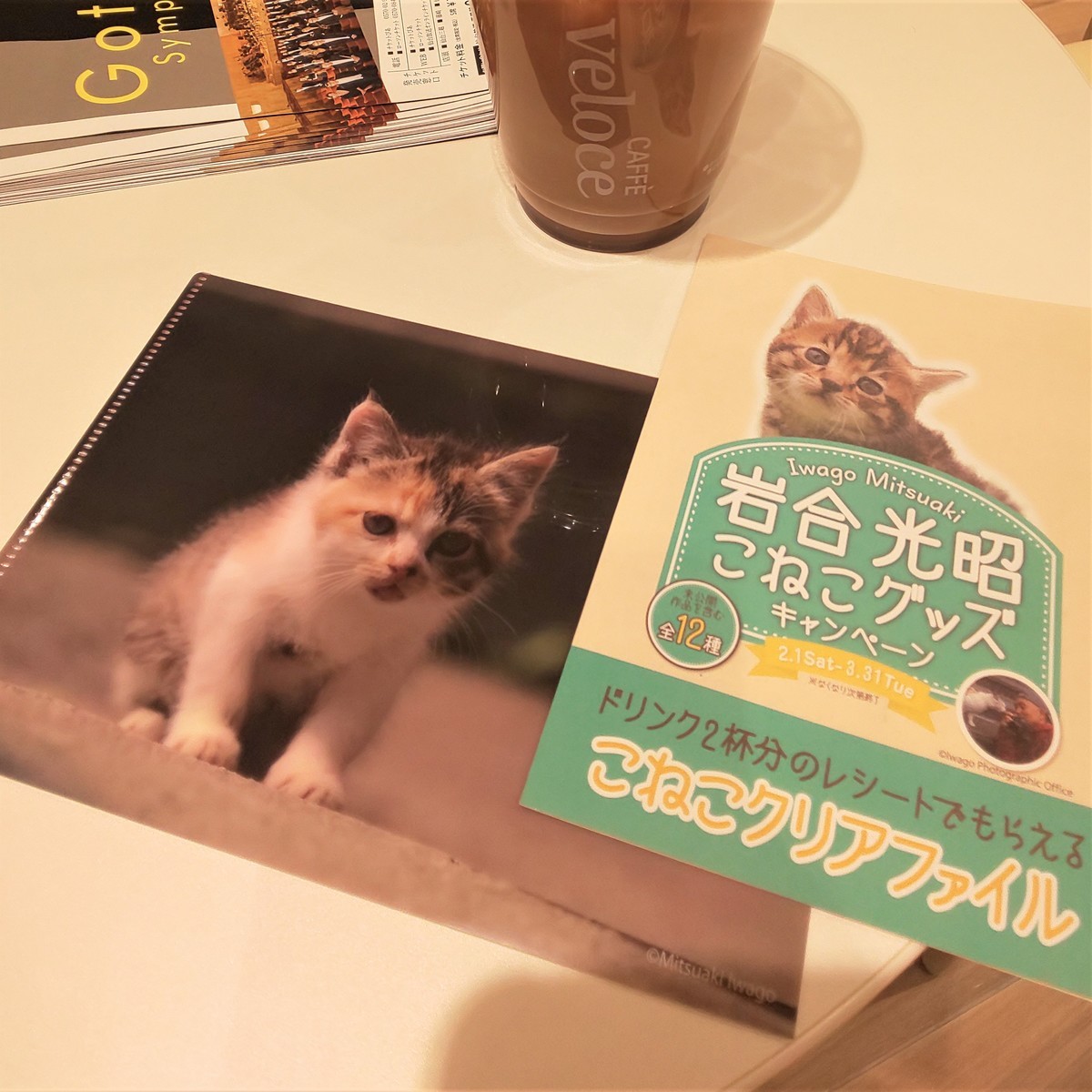 にゃんこそば ねこにっき