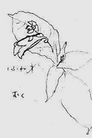 f:id:neko-no-shippo:20060504003716j:image