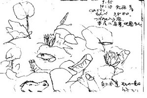 f:id:neko-no-shippo:20060505175607j:image