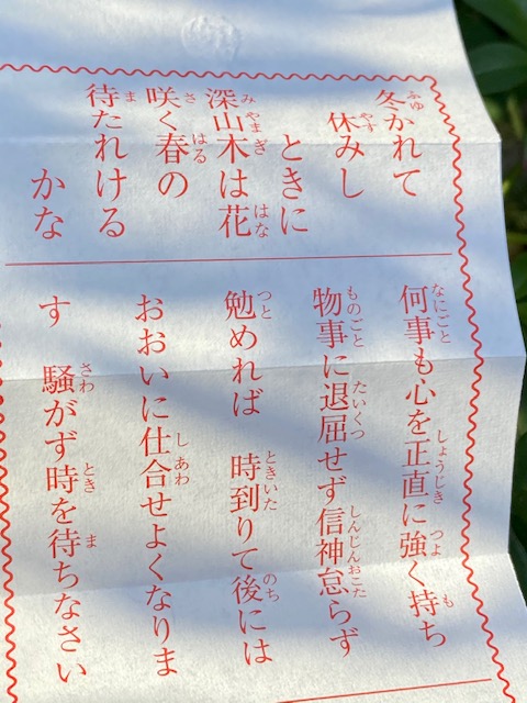 待つことで願いが通る おみくじの受け取り方 ネコのお告げ 占い 散歩 食養生 待つことで願いが通る おみくじの受け取り方 ネコのお告げ 占い 散歩 食養生