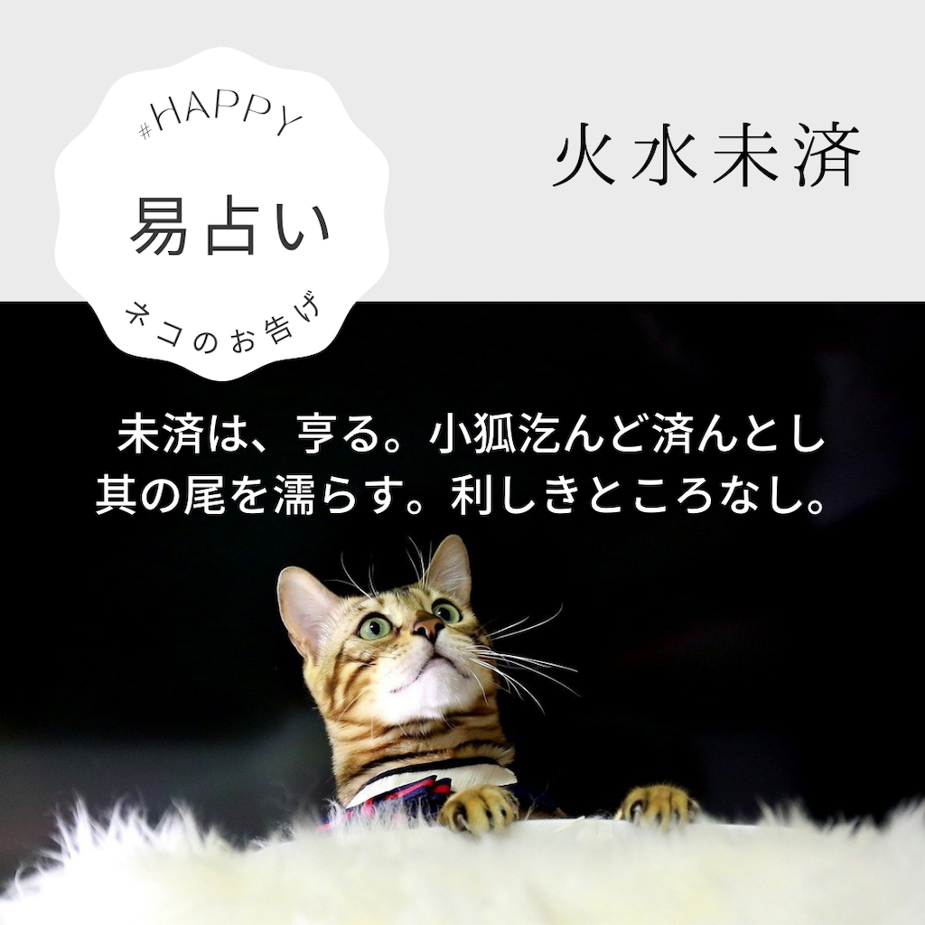 易占い_易経マスター_易経_64卦_火水未済_ネコのお告げ_東京散歩_小石川後楽園_神社仏閣_20210717