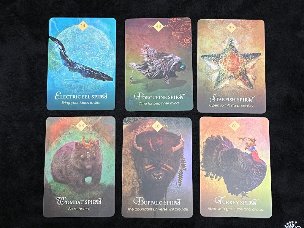 Spirit Animal Oracle Card〜オラクスカード ウォンバットからの